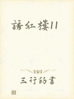 诱红楼11