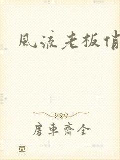 风流老板俏秘书封面