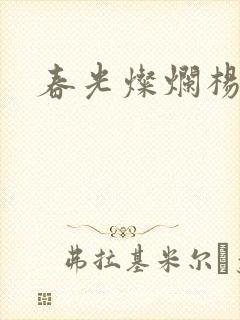 春光灿烂杨家将