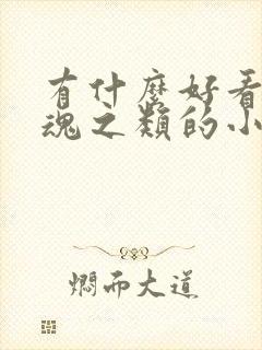 有什么好看的武魂之类的小说封面