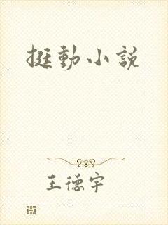 挺动小说封面