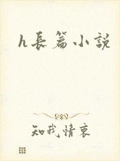 h长篇小说封面
