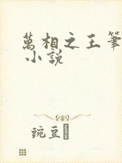 万相之王笔趣阁 小说