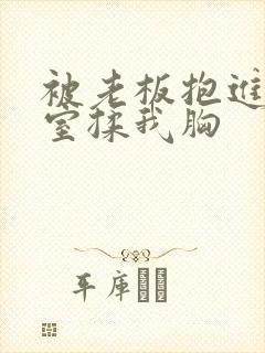 被老板抱进办公室揉我胸封面