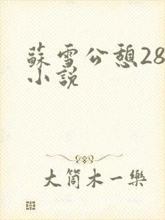 苏雪公憩28篇小说