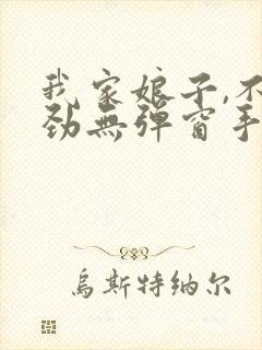 我家娘子,不对劲无弹窗手机版