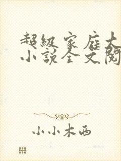 超级家庭大杂烩小说全文阅读