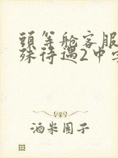 头等舱客服的特殊待遇2中字