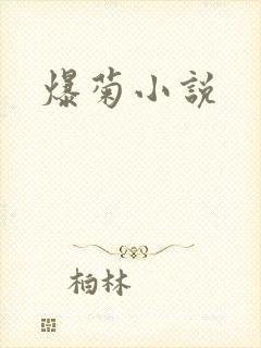 爆菊小说