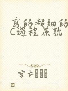 写的超细的多肉C过程原耽