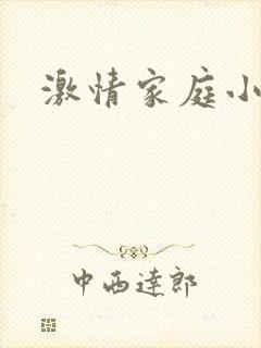 激情家庭小说