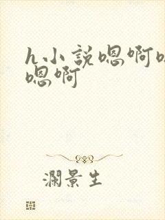 h小说嗯啊嗯啊嗯啊