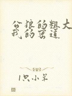 公狼的粗大挺进我的密道