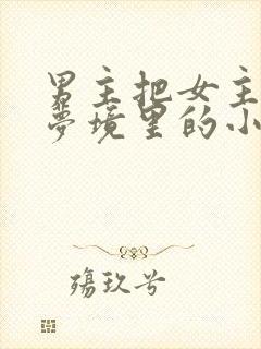 男主把女主拖进梦境里的小说