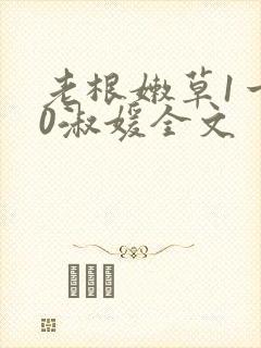 老根嫩草1一40淑媛全文封面
