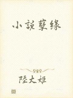 小说孽缘