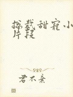 总裁甜宠小娇妻片段