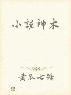 小说神木封面