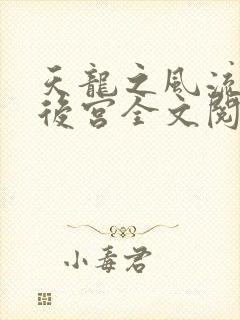 天龙之风流猎艳后宫全文阅读