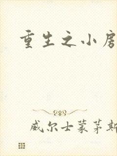 重生之小房东