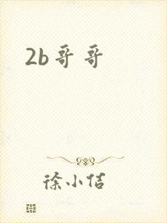 2b哥哥