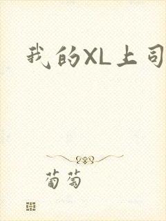 我的XL上司