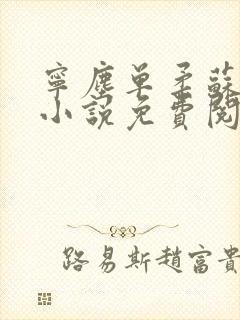 宁尘单柔苏千雪小说免费阅读最新