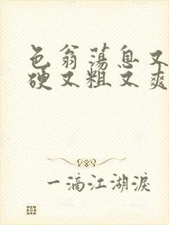 色翁荡息又大又硬又粗又爽