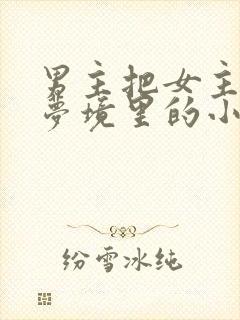 男主把女主拖进梦境里的小说