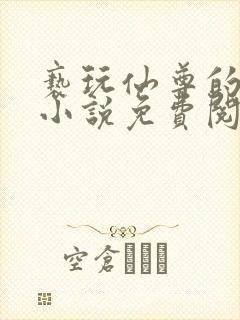 亵玩仙尊的道侣小说免费阅读封面