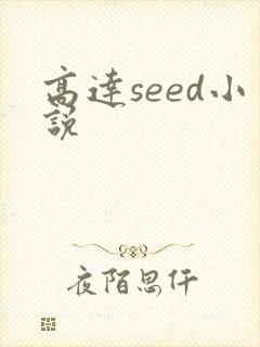 高达seed小说