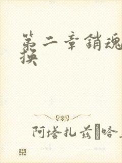 第二章销魂的交换