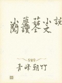 小蘑菇小说免费阅读全文封面