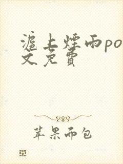 沪上烟雨po全文免费封面