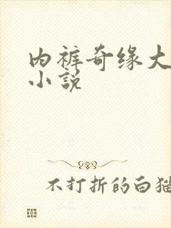 内裤奇缘大团结小说