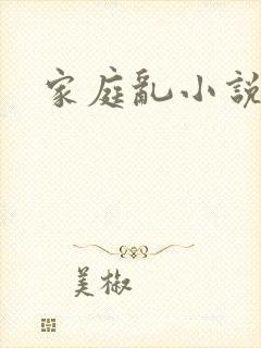 家庭乱小说