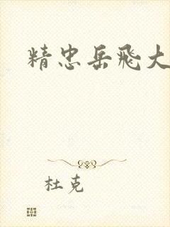 精忠岳飞大结局