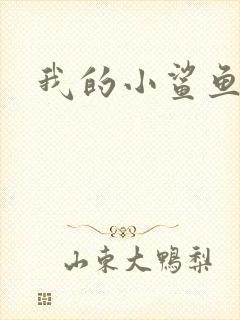 我的小鲨鱼