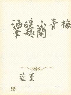 酒酿小青梅po笔趣阁