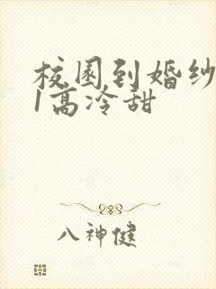 校园到婚纱1V1高冷甜