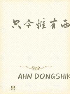 只今惟有西江月