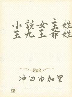 小说女主姓颜男主九王爷姓寒