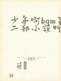 少年啊bgm第二部小说叫什么封面