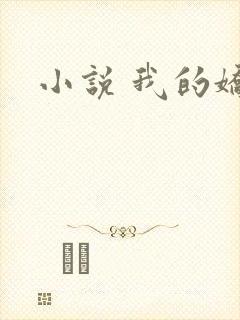 小说 我的娇妻