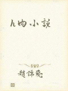 h肉小说封面
