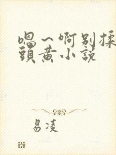 嗯～啊别揉我奶头黄小说