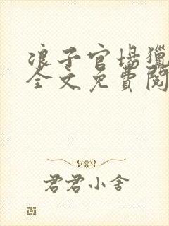 浪子官场猎艳记全文免费阅读