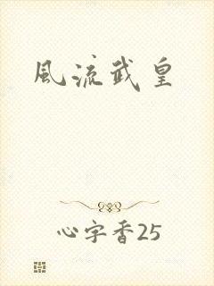 风流武皇封面