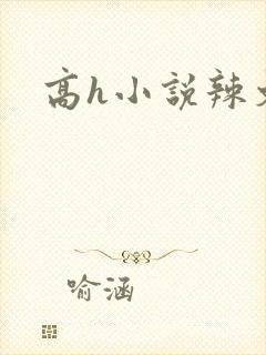 高h小说辣文封面