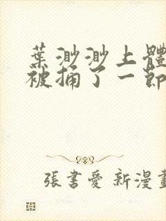 叶渺渺上体育课被捅了一节课封面